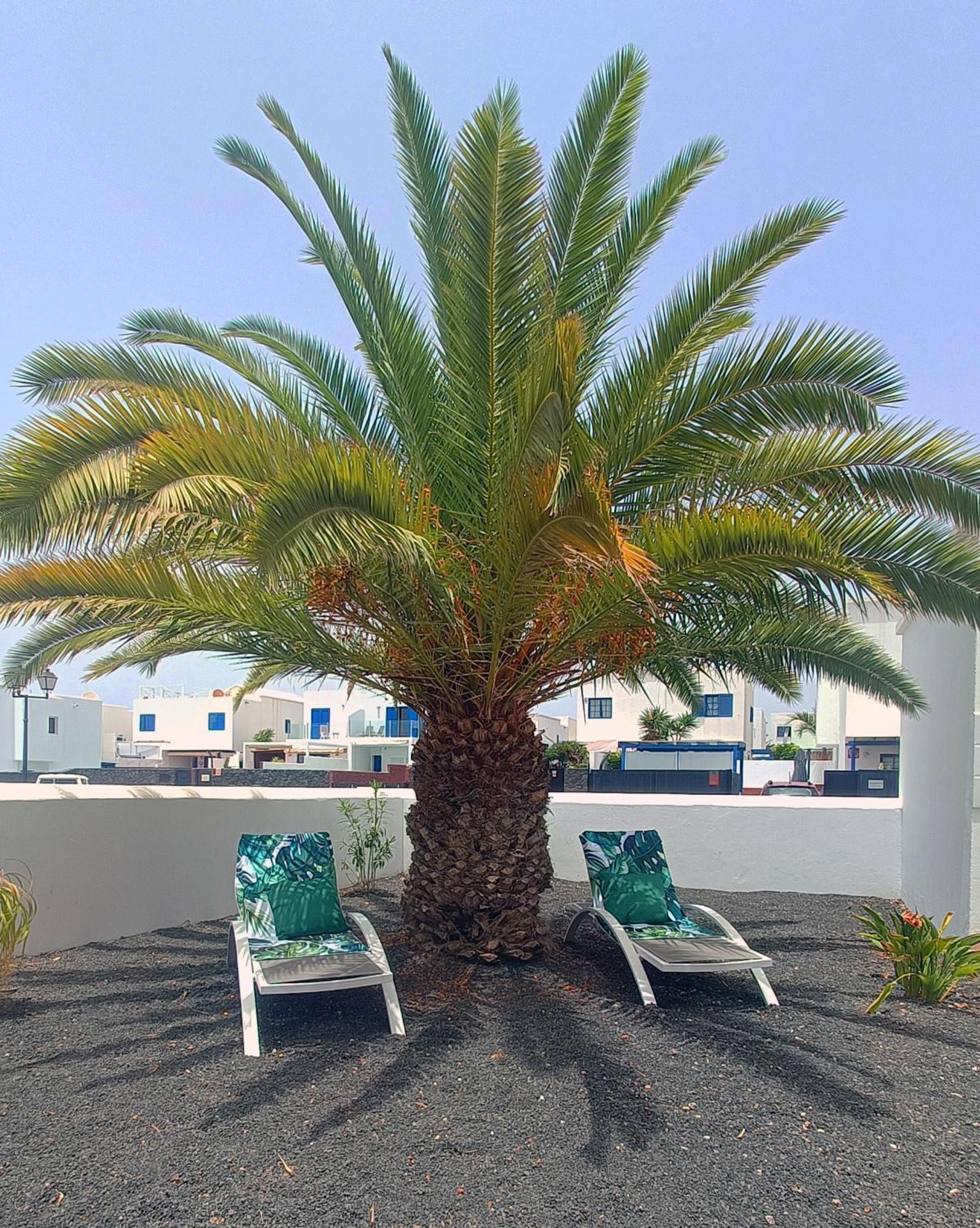 Lovely Casa Felicidad, Swimming Pool, Wifi X Private Garden Playa Blanca  Luaran gambar